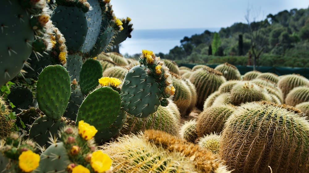 Que faire sur la Costa Brava